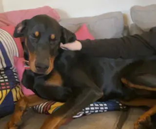 Benny