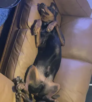 Benny