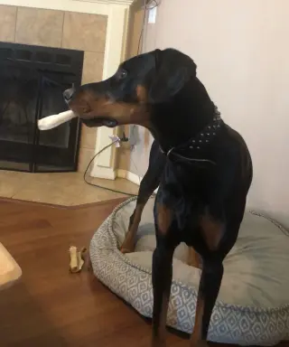 Benny
