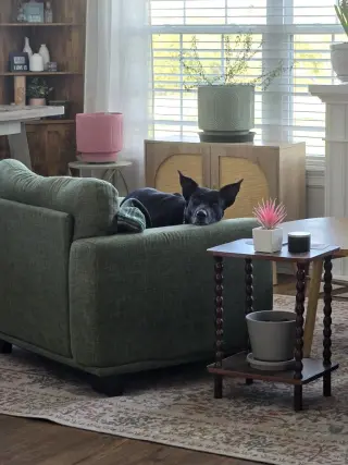 Evie