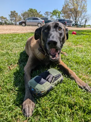 Mali