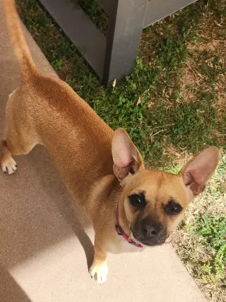 PIP #2