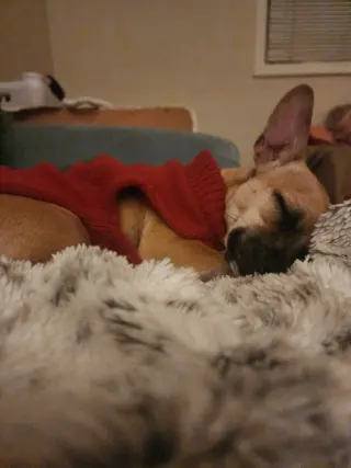 PIP #2