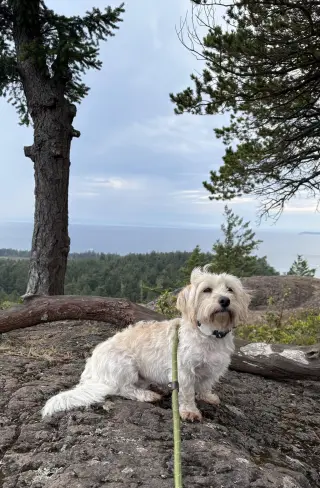 Layla from Korea