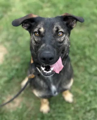 Zora "Hazel