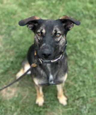 Zora "Hazel
