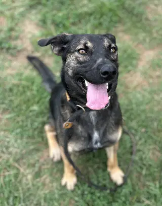 Zora "Hazel