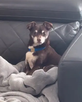 Jax~
