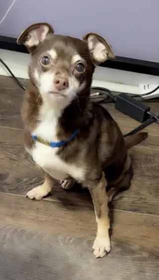 Jax~