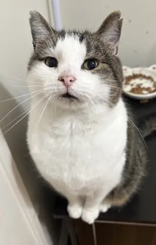 Dexter