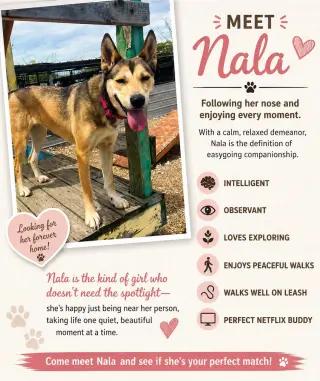 Nala aka Bonnie