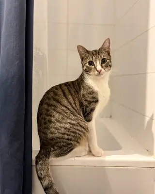 Frederick