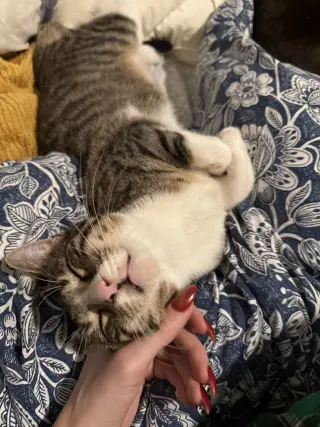 Frederick
