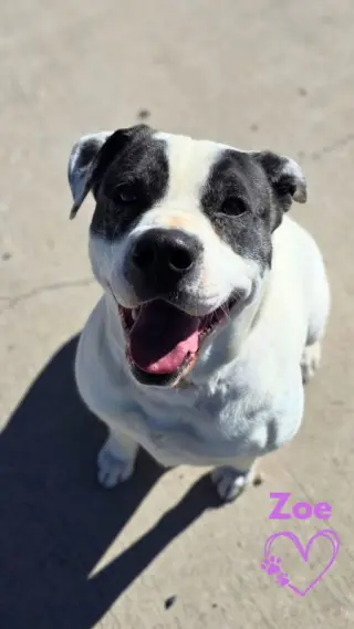 Zoe