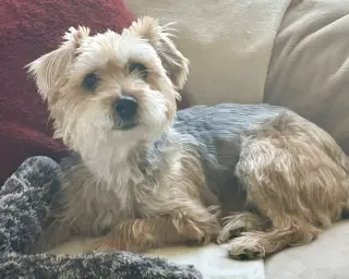 Annie