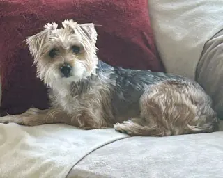 Annie