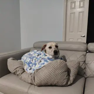 Riley