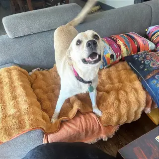 Riley