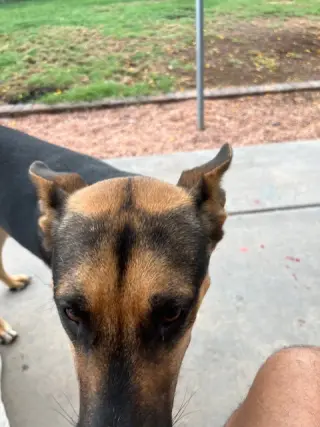 HOKU #2