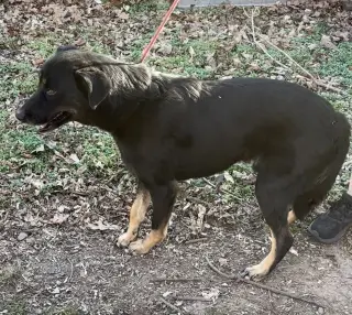 Max