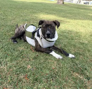 Lennox