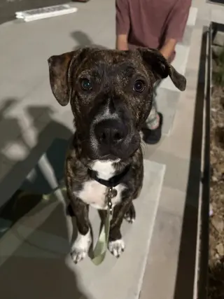 Lennox