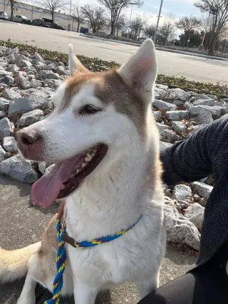 Sasha