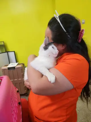 Chatty
