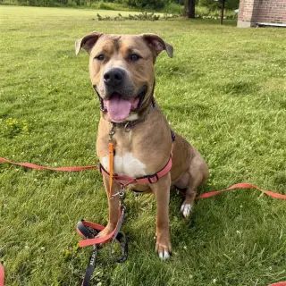 Zeus