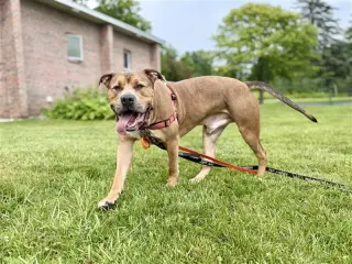 Zeus
