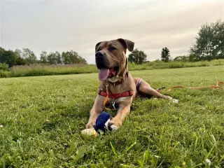 Zeus