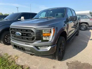Ford F-150 2023 4x4 XLT 4dr SuperCrew 6.5 ft. SB