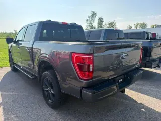 Ford F-150 2023 4x4 XLT 4dr SuperCrew 6.5 ft. SB