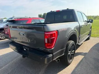 Ford F-150 2023 4x4 XLT 4dr SuperCrew 6.5 ft. SB