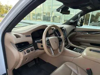 Cadillac Escalade 2020 4x4 Platinum 4dr SUV