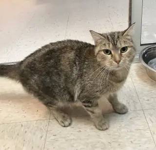 Bonnie