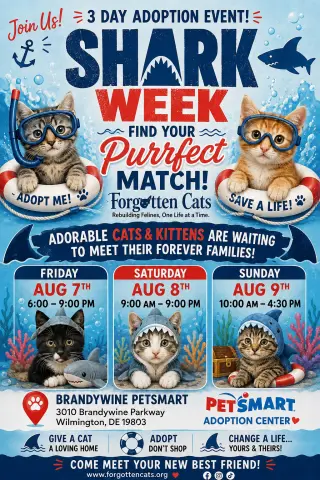 Brandywine PS Cat Adoption Event August 7-9