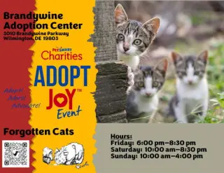 Brandywine PS Cat Adoption Event August 7-9