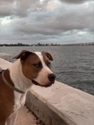 COURTESY POST: Tsuki