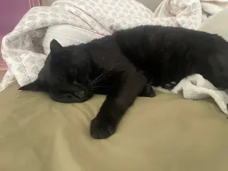 Thomas
