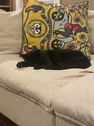 Thomas