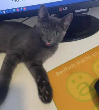 Smokey