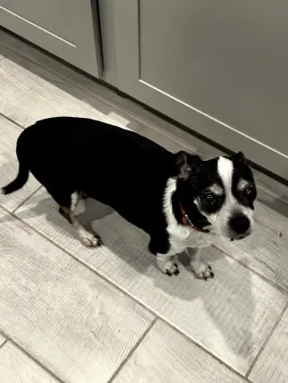 CHARLIE