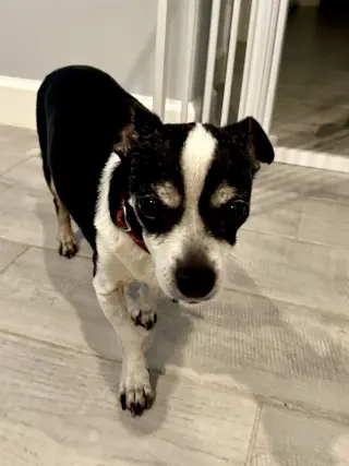 CHARLIE