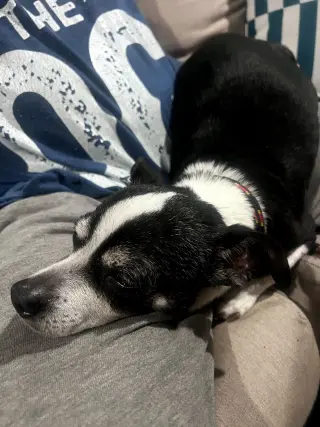 CHARLIE