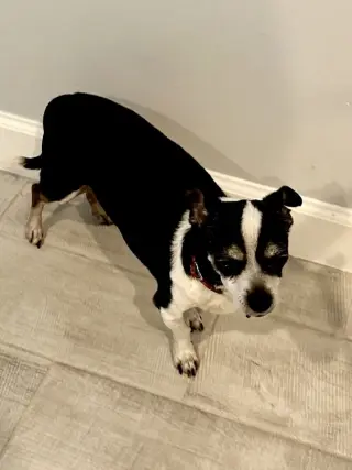 CHARLIE