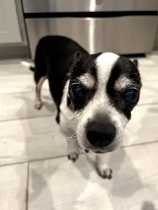 CHARLIE