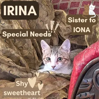 Irina (Sister of Iona)