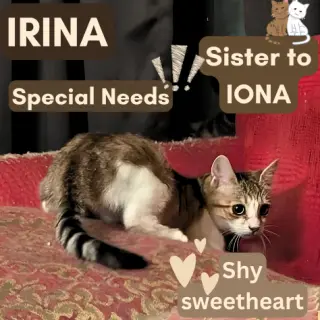 Irina (Sister of Iona)