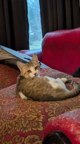 Irina (Sister of Iona)